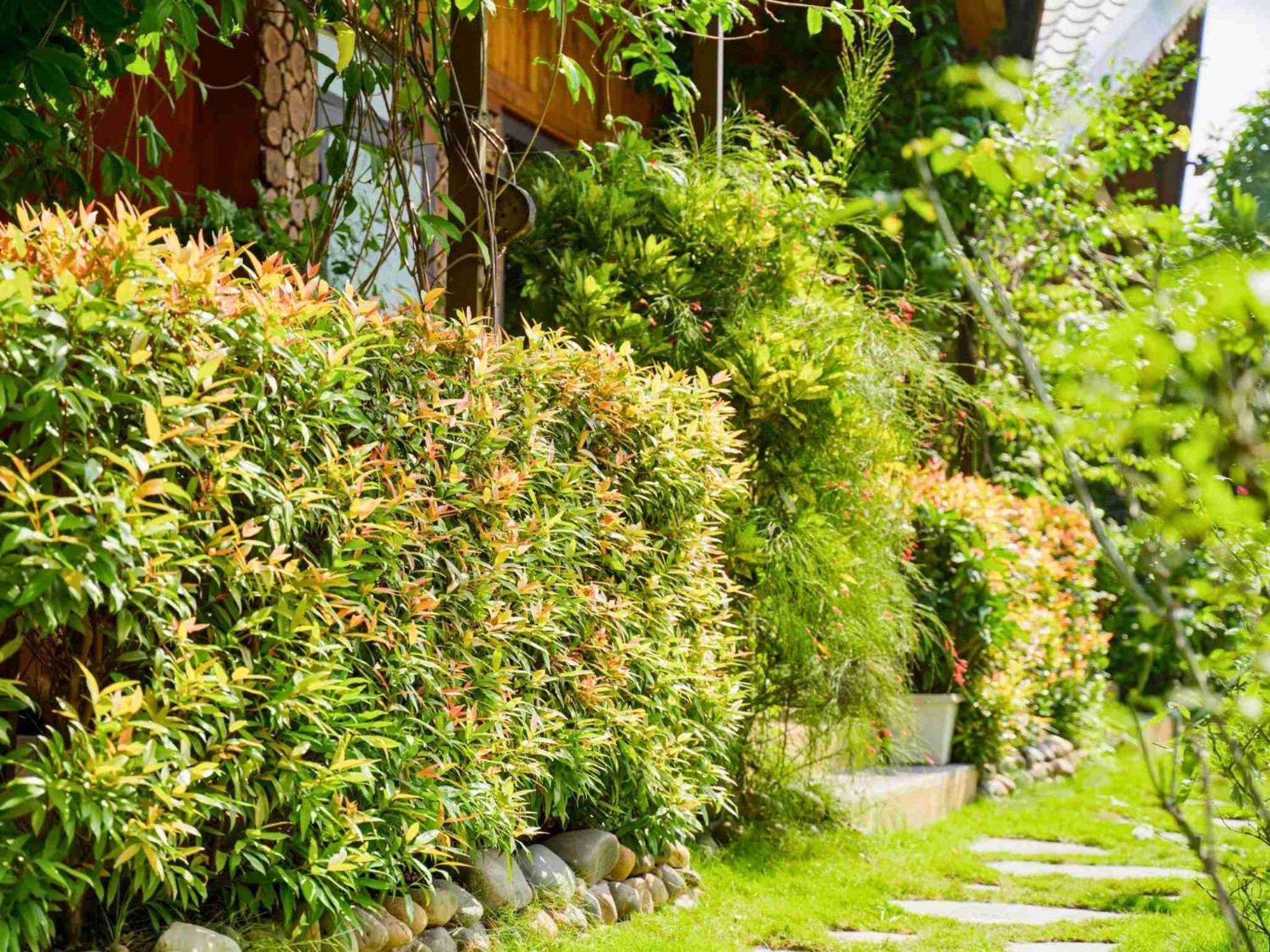 Apartmán Ninh Binh Eco Garden Exteriér fotografie